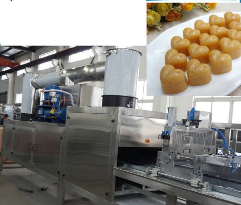 Pequeño caramelo del acero inoxidable que hace la máquina proveedor